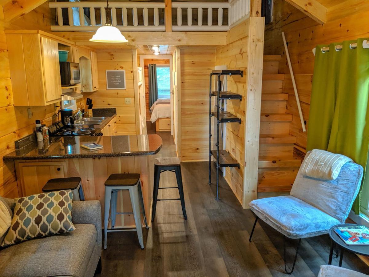 Elise Cabin Forest Retreat 5 Mins To Downtown Chattanooga Esterno foto