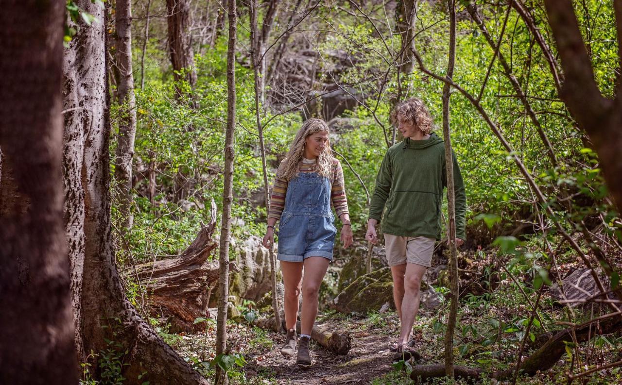 Elise Cabin Forest Retreat 5 Mins To Downtown Chattanooga Esterno foto