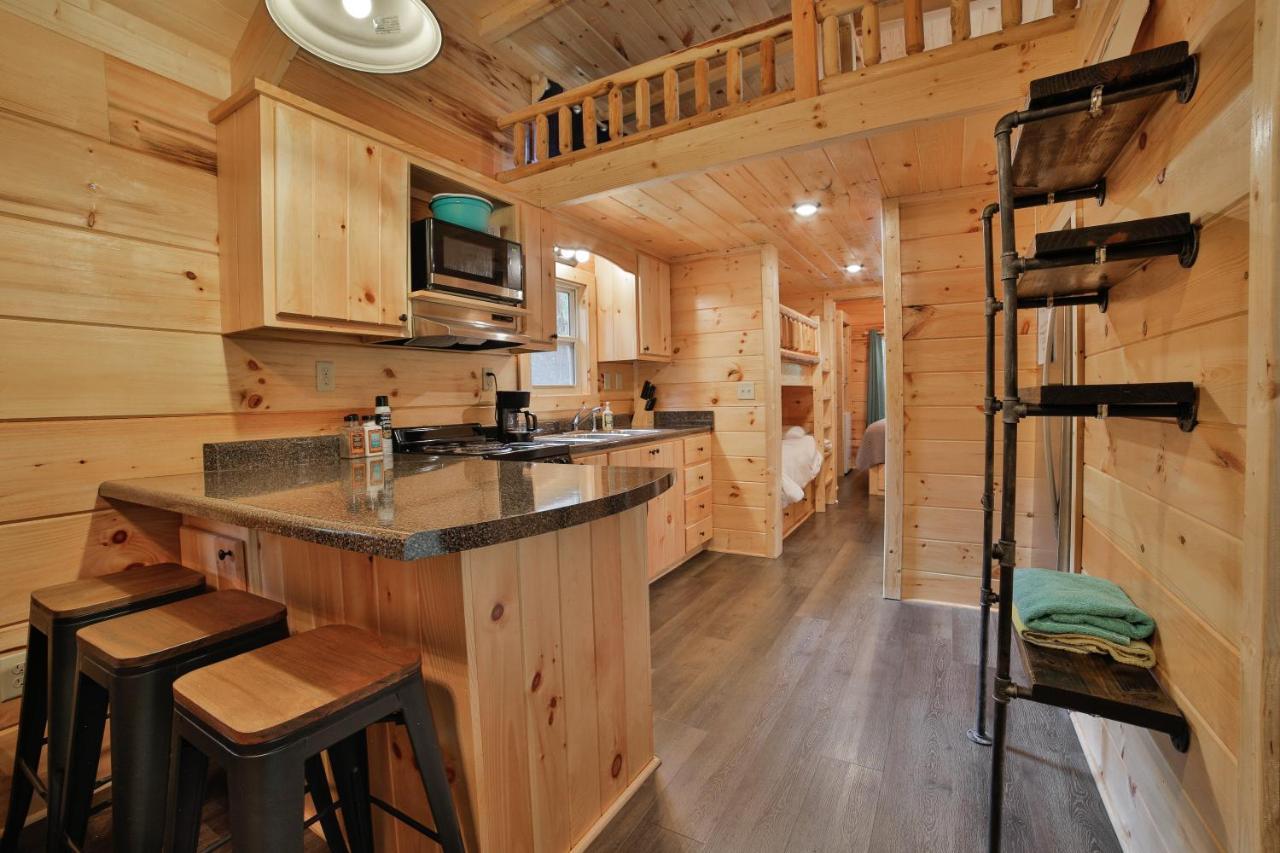Elise Cabin Forest Retreat 5 Mins To Downtown Chattanooga Esterno foto