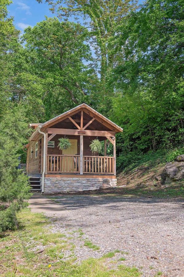 Elise Cabin Forest Retreat 5 Mins To Downtown Chattanooga Esterno foto